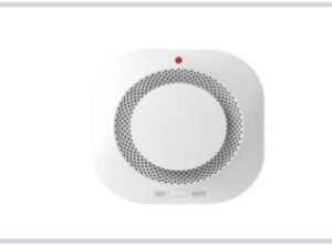 Verimax-Spain Smoke Detector